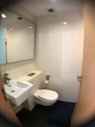Lumiere (D2), Apartment #441075361